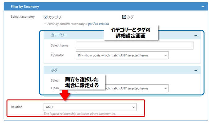 Content Viewsの「Filter Setting」のAdvance設定で「Taxonomy（カテゴリー、タグ）」を選択した時の詳細画面のさらに詳細画面