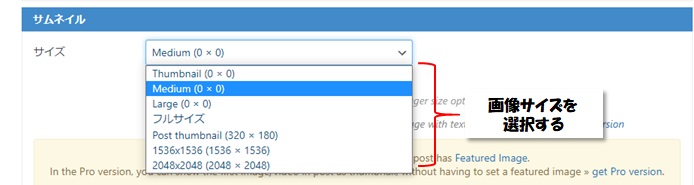 Content Views設定の「Display Settings」のサムネイルの説明